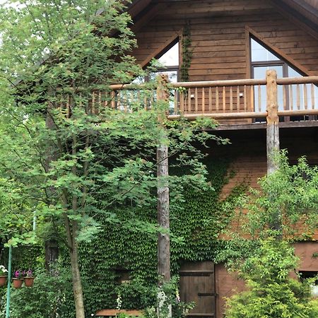 На Галіції Villa Beloberezka Luaran gambar