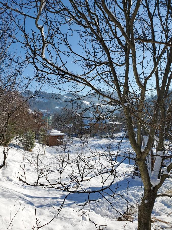 На Галіції Villa Beloberezka Luaran gambar