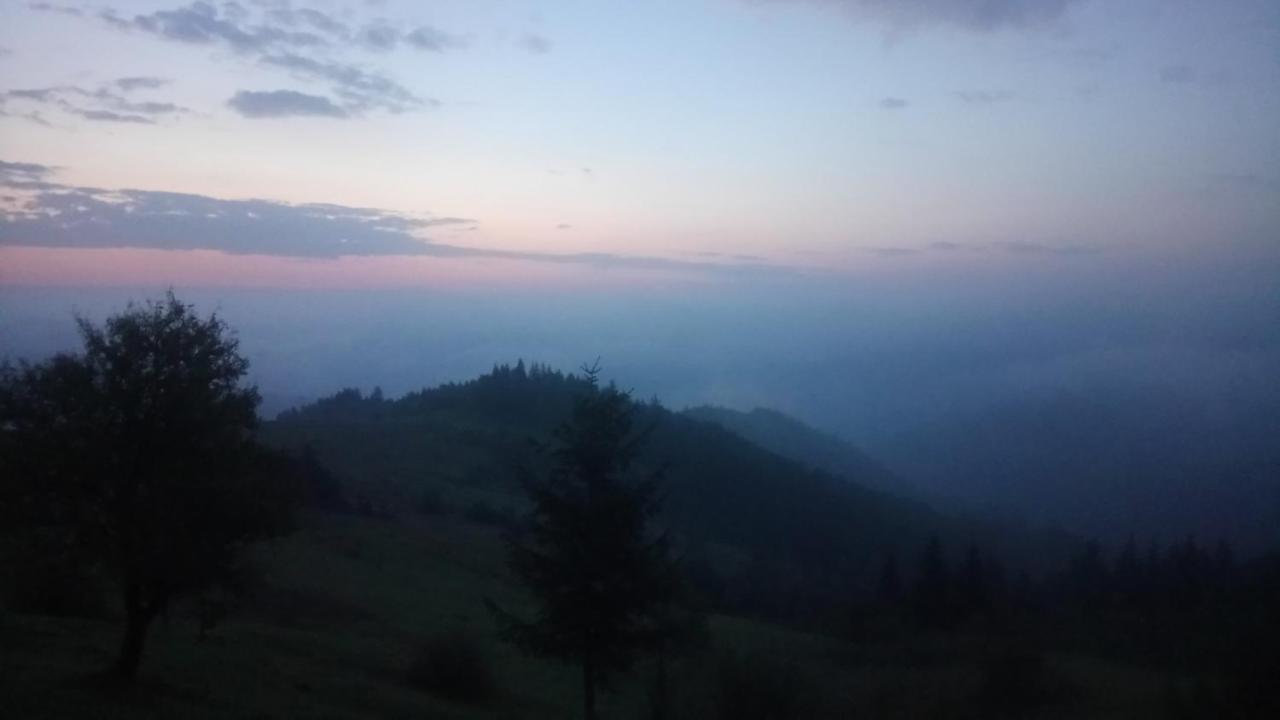 На Галіції Villa Beloberezka Luaran gambar