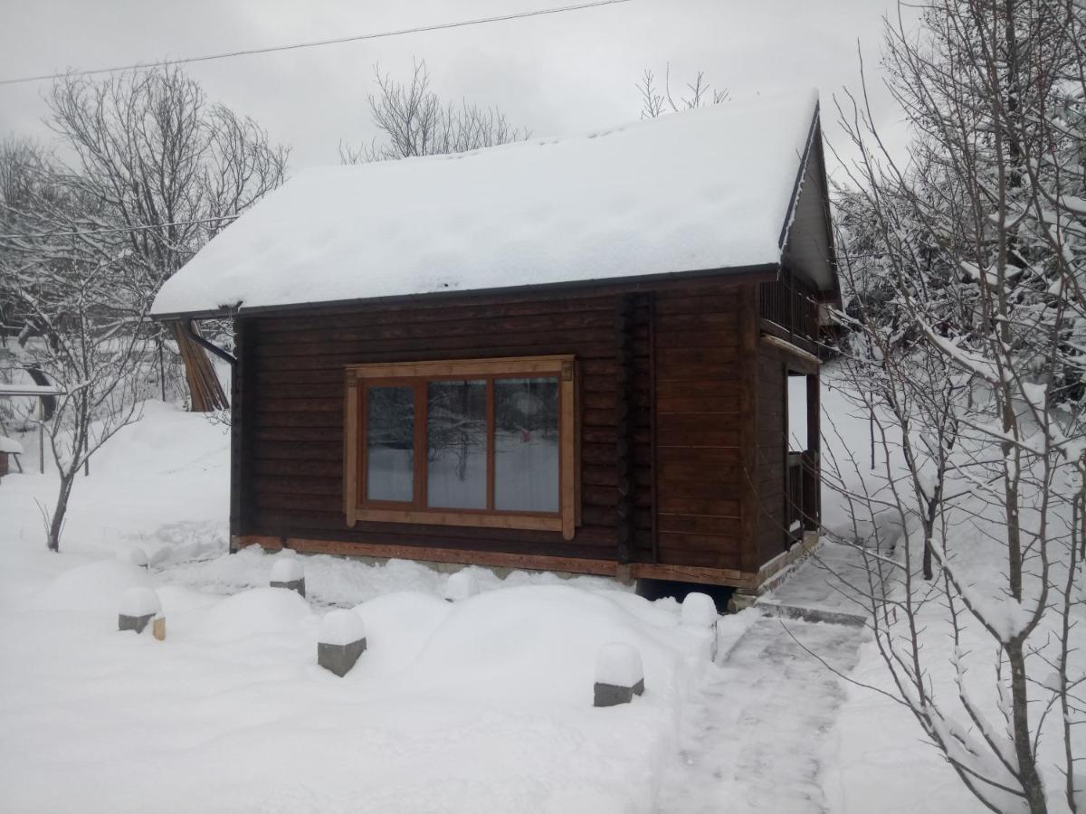 На Галіції Villa Beloberezka Luaran gambar